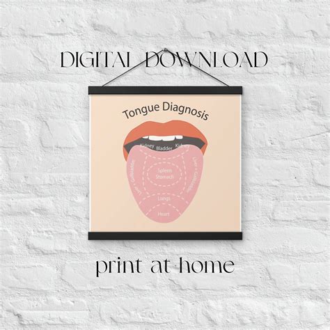 Tongue Chart PNG - Etsy