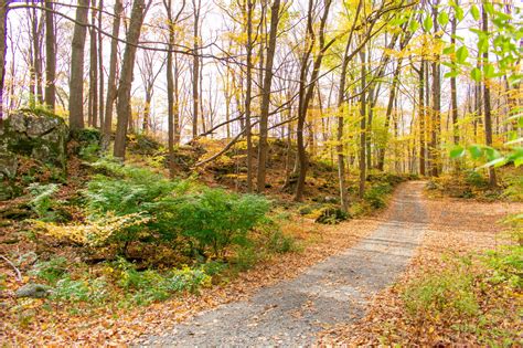 The hidden Sparta NJ hiking trails that most tourists never find 16