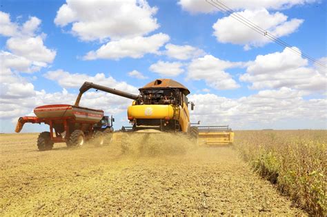 AgRural Colheita de soja chega a 76 da área no Brasil Portal Agronosso