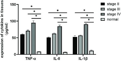 Determination Of The Expression Levels Of Il 1β Il 8 And Tnf α In