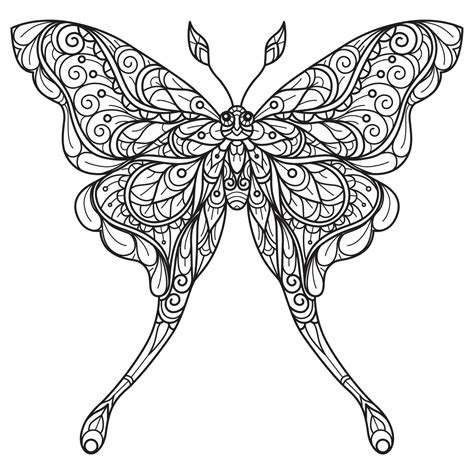 Butterfly Hand Drawn For Adult Coloring Book 7660693 Vector Art At Vecteezy