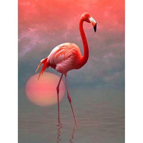 Peinture Diamant Th Me Flamand Rose Broderie Compl Te D Perles