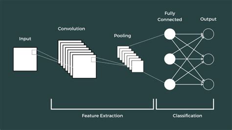 Image Classification Using Convolutional Neural Networks CNNs In PyTorch