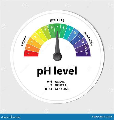 Ph Level Scale Chart Indicator Diagram Value. Stock Vector ...