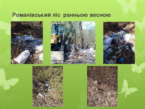 Презентація "Ліс - не смітник!"