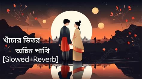 Khachar Vitor Ochin Pakhi খচর ভতর অচন পখ Slowed Reverb