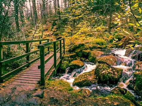 Walks Through Wyming Brook Nature Reserve Hidden Wilderness Baldhiker