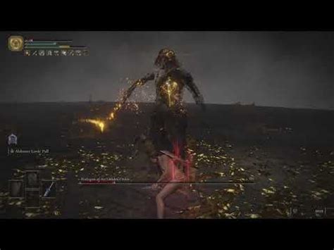 Radagon & Elden Beast - RL1/WL+0(no upgrades)/No AoW/no Aux/no hit : r ... 