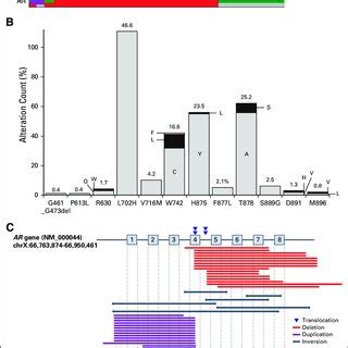 Landscape Of AR Alterations A AR Genomic Alterations GAs Were