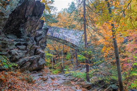 Wissahickon Valley Park Near Devils Pool In Autumn Photograph By Bill