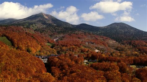 Fall Leaves Of Hakkoda Mountains｜attractions｜amazing Aomori The