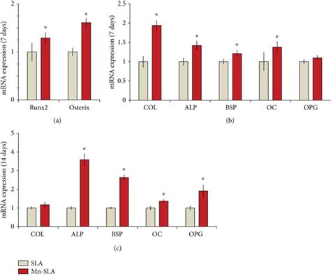 Quantitative Real Time PCR Analysis Of The Levels Of MRNA For