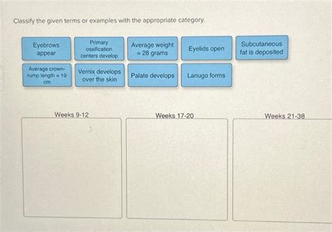 Solved Classify The Given Terms Or Examples With The App