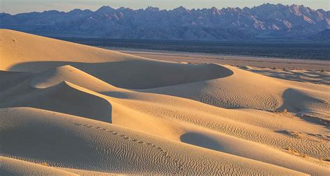 Sand dunes repel each other as they move across a landscape – Physics World