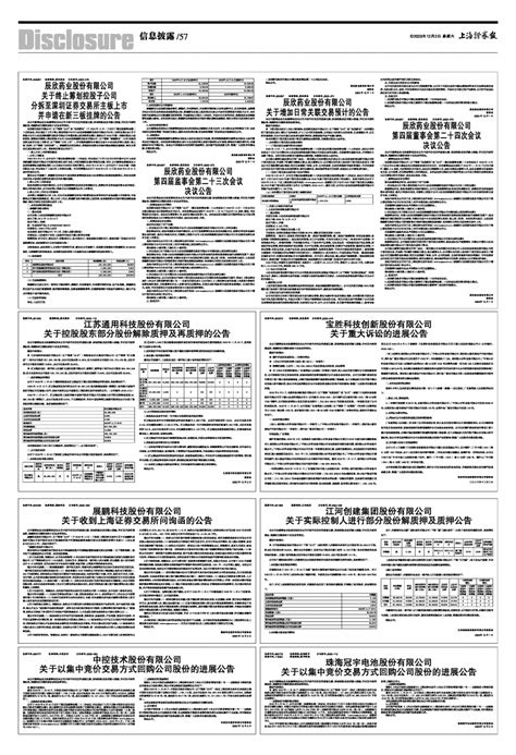 2023年12月02日 第57版：信息披露上海证券报