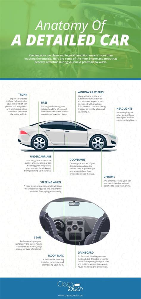 Car Anatomy Anatomical Charts And Posters