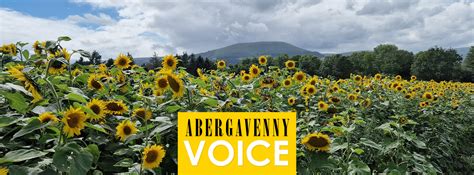 Abergavenny Voice