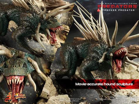 Hot Toys Tracker Predator Full Gallery The Toyark News