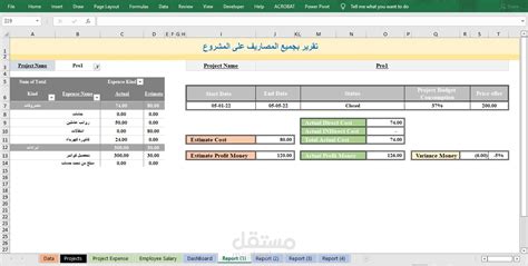 ملف اكسل احترافى لحساب تكاليف مشروع مستقل