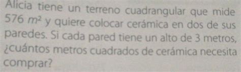 Solved Alicia Tiene Un Terreno Cuadrangular Que Mide 576m2 Algebra