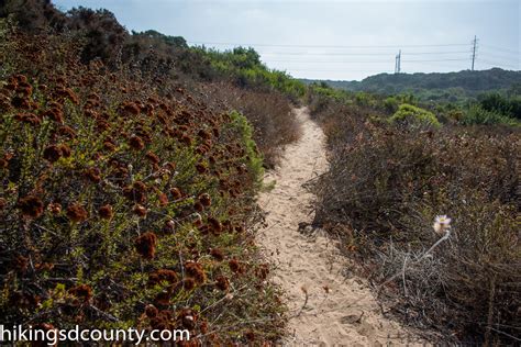 Carmel Mountain Preserve - Hiking San Diego County