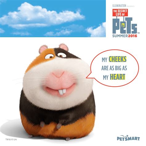 Pin On The Secret Life Of Pets Petsmart