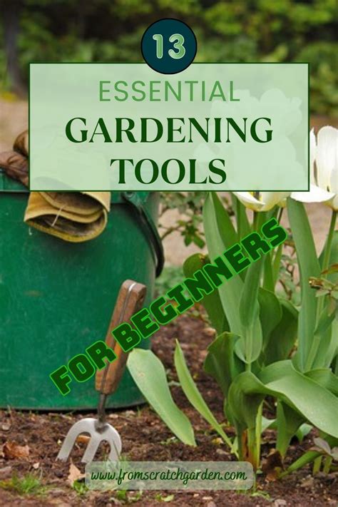 Essential Gardening Tools For Beginners Organic Vegetable Garden