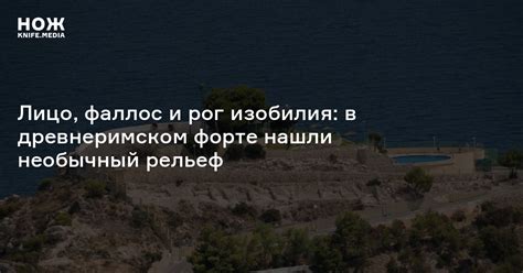 Лицо, фаллос и рог изобилия: в древнеримском форте нашли необычный ...