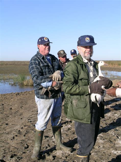 Anahuac National Wildlife Refuge Whsrn