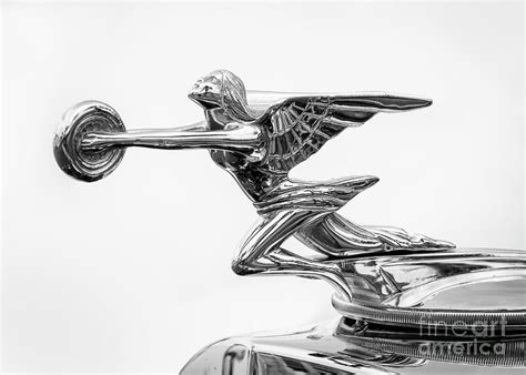 Packard Hood Ornament Photograph By Dennis Hedberg Pixels