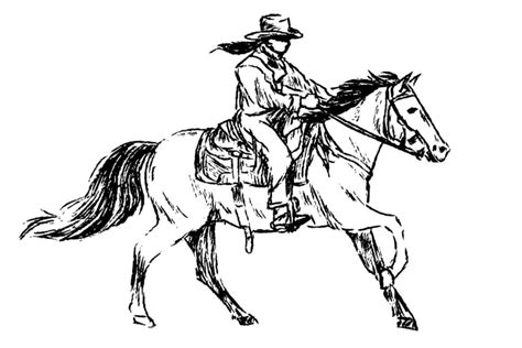 Northwest Horsemens Funshow