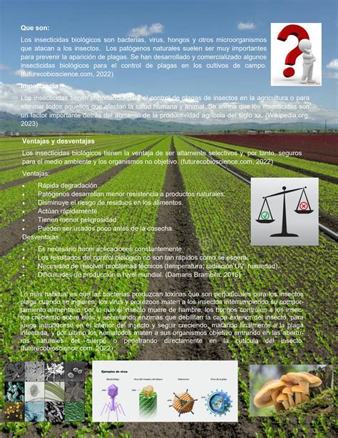 Solution Plaguicidas Biol Gicos Studypool