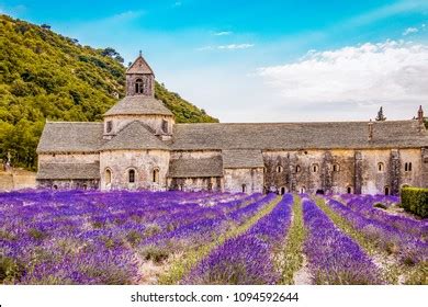 Abbey Gordes Provence Lavender Fields Notredame Stock Photo 1094592644 ...