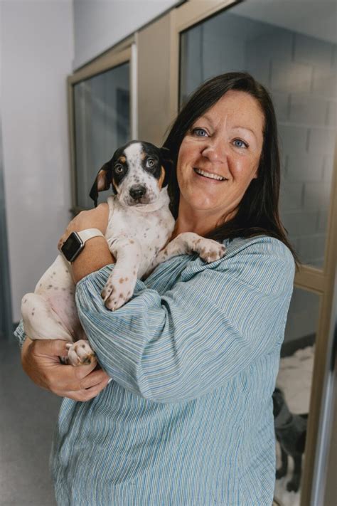 40 Years Of Working For The Animals Ontario Spca And Humane Society