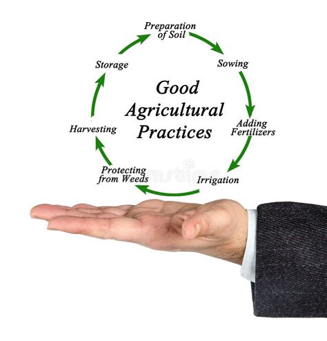 Components Of Good Agricultural Practices Stock Image Image Of