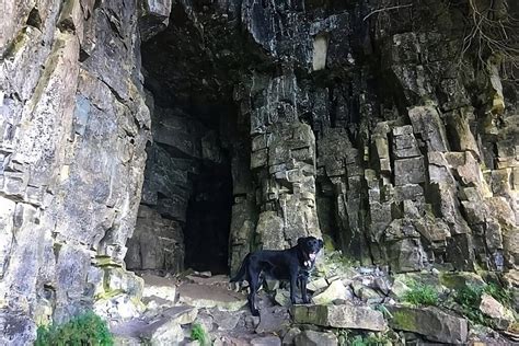 15 Best Dog Friendly Vacation Destinations In Wisconsin