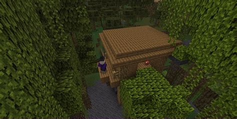 12 Best Mangrove Swamp Seeds For Minecraft 119 June 2022 Beebom