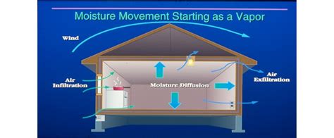 Moisture Transport Building Science Education