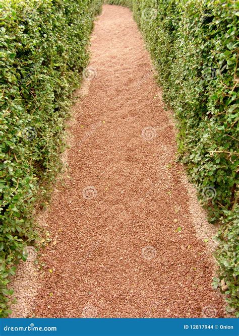 Path In A Maze Stock Photo Image Of Route Seeking Seek 12817944