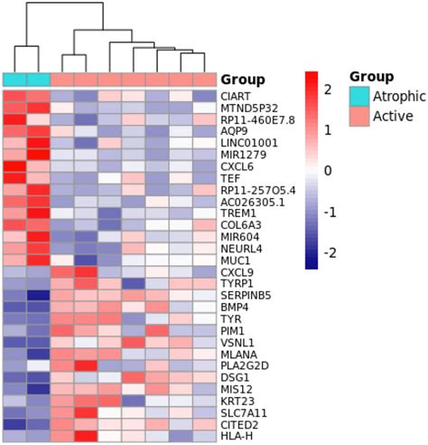 Heatmap Plot Of Top Differentially Expressed Genes From The