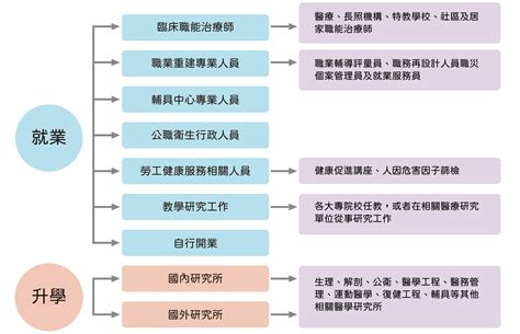 畢業出路 本系簡介 大葉大學職能治療學系