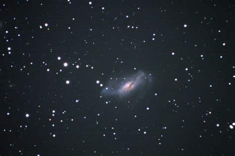 Ngc 2146 Spektrum Der Wissenschaft