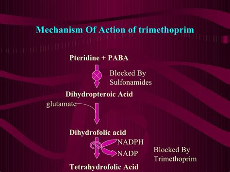 Folic Acid Synthesis Inhibitors