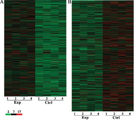 Figure 1 From Differential Expression Profiles Of Long Noncoding Rna And Mrna In Colorectal