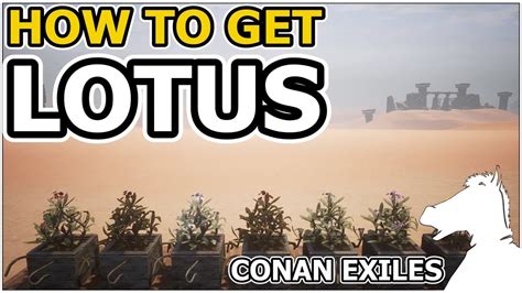 How To Get LOTUS CONAN EXILES YouTube