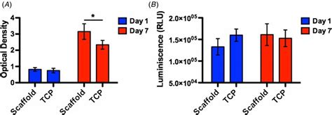 The Viability And Apoptosis Analyses Of Tumor Cells A The Viability