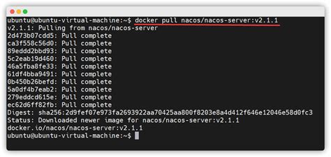 Docker Nacos Docker Nacos Csdn