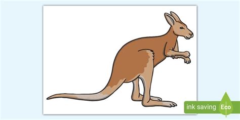 Extra Large Display Kangaroo Cut Out Twinkl Eyfs