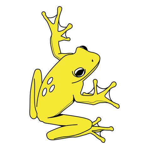 Frog PNG & SVG Transparent Background to Download