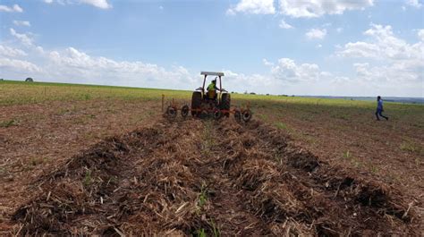 Desenvolvimento de sistemas de cultivo de cana de açúcar no Cerrado